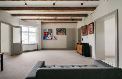 Historisk liebhaverlejlighed til salg Kraków, Lillepolen, Billede 9/31