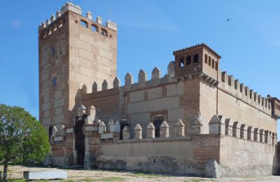 Borg Narros de Saldueña, Castilla y León