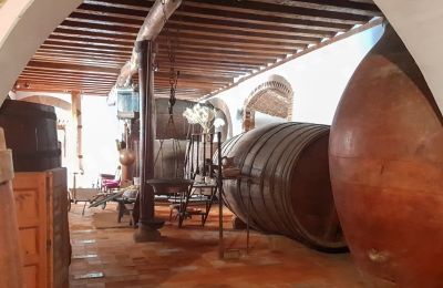Borg til salg Narros de Saldueña, Teniente Cecilio López 48, Castilla y León, Bodega