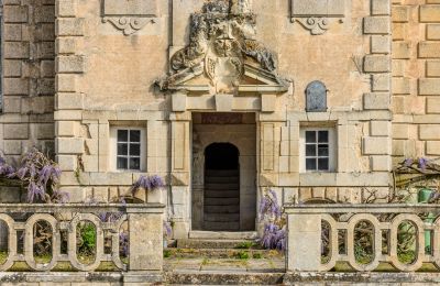 Slott till salu Nouvelle-Aquitaine, Bild 7/17