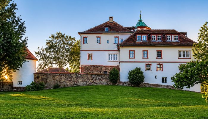 Slott til salgs Baden-Württemberg