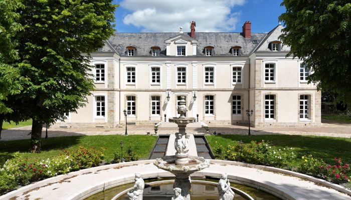 Slot til salg Provins, Île-de-France
