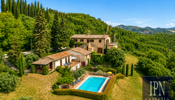  Montone 1