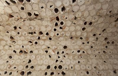 Byhus til salg Cassano delle Murge, Puglia, Billede 24/24