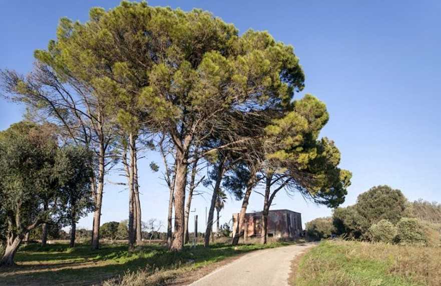 Fotos Altes Landhaus in Apulien mit 6 Ha Land und Nebengebäuden