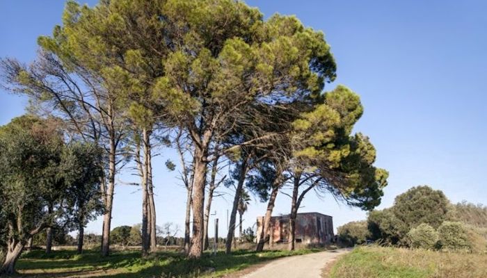 Landhuis te koop Latiano, Puglia,  Italië
