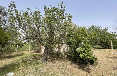 Boerderij te koop Oria, Puglia:  