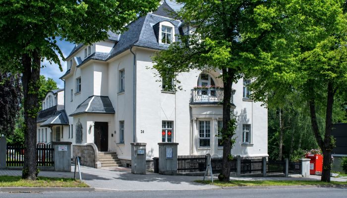 Historische Villa kaufen 08209 Auerbach/Vogtland, Sachsen