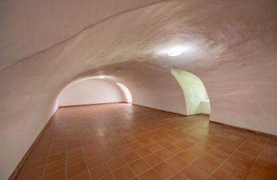 Slott til salgs 32683 Alverdissen, North Rhine-Westphalia, Kellerraum - Ostflügel