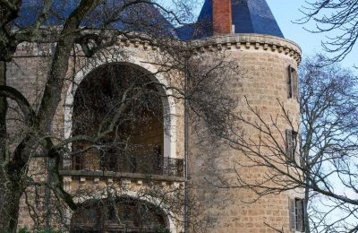 Burg kaufen Valence, Auvergne-Rhône-Alpes, Foto 7/28