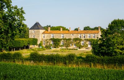 Historisk villa til salgs Pays de la Loire, Bilde 1/15
