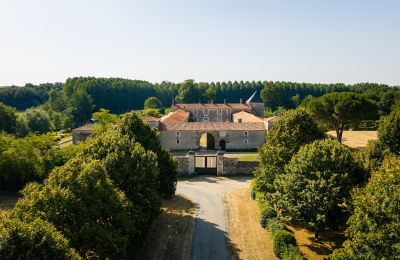 Historisk villa til salgs Pays de la Loire, Bilde 5/15