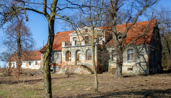 Herrgård till salu Rogów Wołowski, Nedre Schlesien