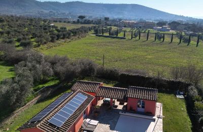 Historisk villa till salu Cortona, Toscana, Bild 15/66