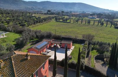 Historisk villa till salu Cortona, Toscana, Bild 14/66