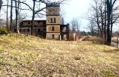 Historisk villa till salu Staniszów, Nedre Schlesien, Bild 21/26