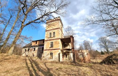 Historisk villa till salu Staniszów, Nedre Schlesien, Bild 9/26