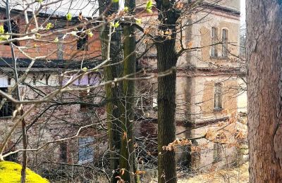 Historisk villa till salu Staniszów, Nedre Schlesien, Bild 14/26