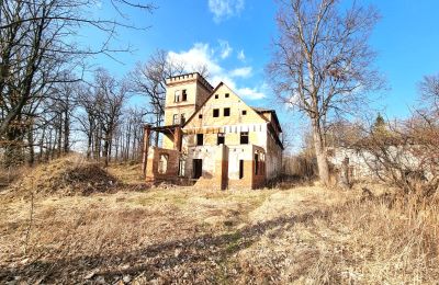Historisk villa till salu Staniszów, Nedre Schlesien, Bild 12/26