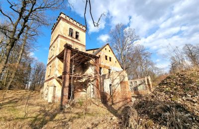 Historisk villa till salu Staniszów, Nedre Schlesien, Bild 5/26