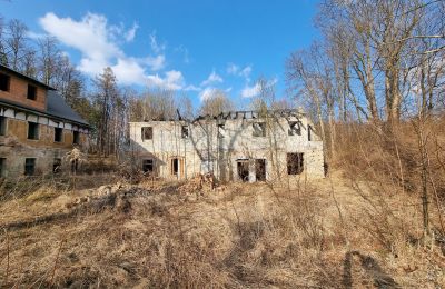 Historisk villa till salu Staniszów, Nedre Schlesien, Bild 2/26