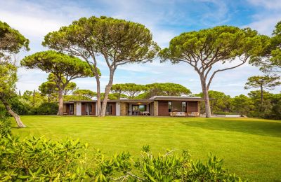 Historisk villa til salgs Rocchette, Toscana, Bilde 15/60