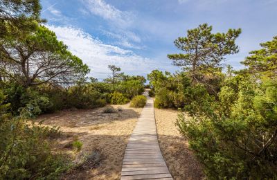 Historisk villa til salgs Rocchette, Toscana, Bilde 56/60