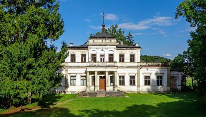 Slot til salg Sancygniów, Helligkors
