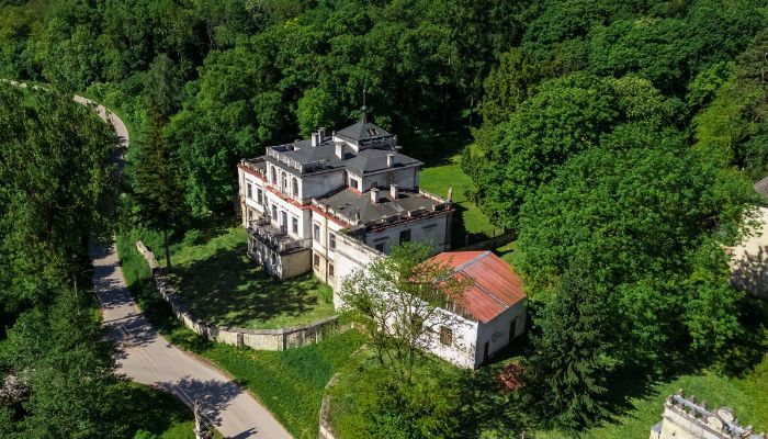  Sancygniów 5