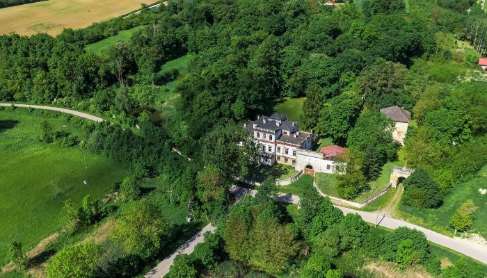 Sancygniów 3