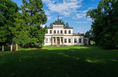 Slot til salg Sancygniów, Helligkors, Billede 38/40