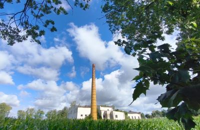 Historisk eiendom til salgs Wioska, Kujavien-Pommern, Bilde 15/19