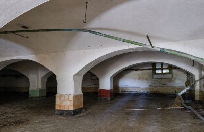 Historisk eiendom til salgs Wioska, Kujavien-Pommern, Bilde 9/19