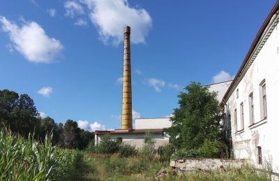 Historisk eiendom til salgs Wioska, Kujavien-Pommern, Bilde 14/19