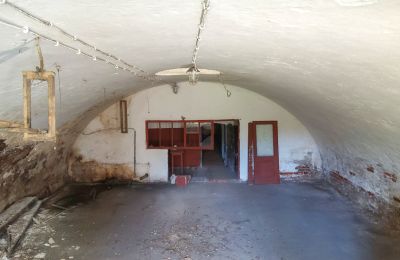 Historisk eiendom til salgs Wioska, Kujavien-Pommern, Bilde 11/19