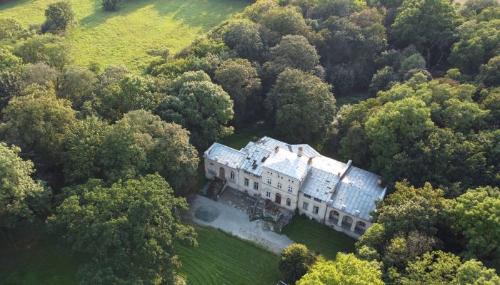 Herrenhaus kaufen Pakosław, Großpolen