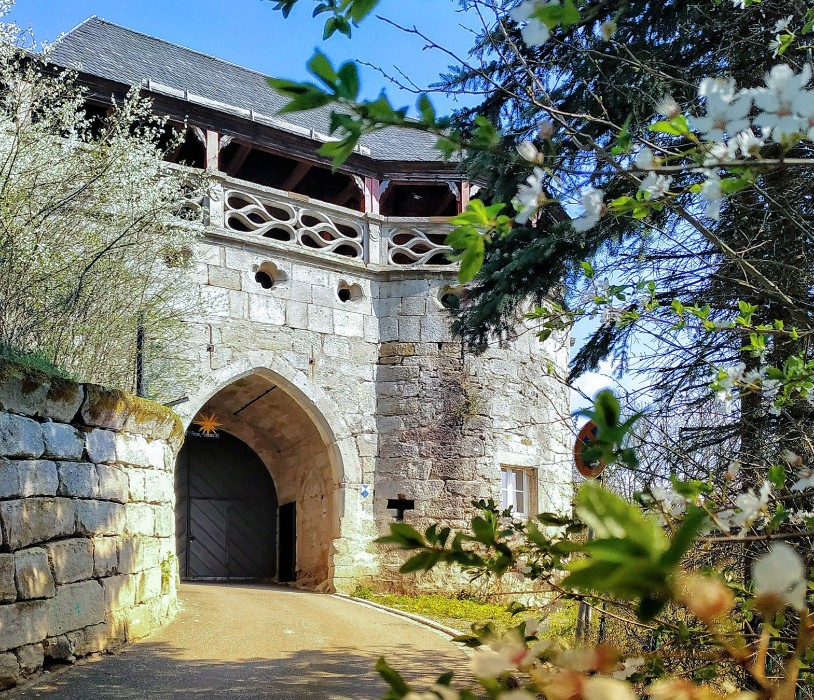 Historische Immobilien, Der Seriensanierer