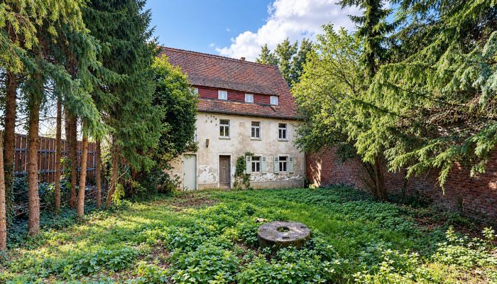 Historische Immobilie kaufen 06686 Lützen, Sachsen-Anhalt