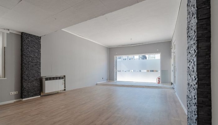  Gifhorn 5