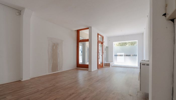  Gifhorn 4