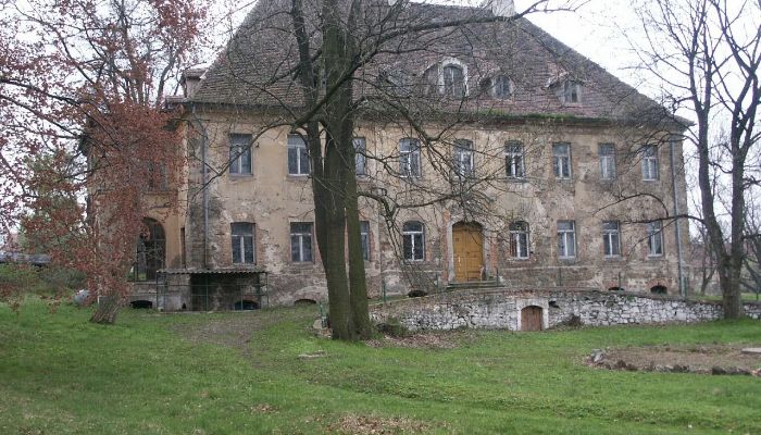 Schloss Kostrzyna 4