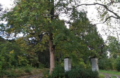 Schloss kaufen Kostrzyna, Niederschlesien, Foto 12/16
