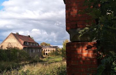 Schloss kaufen Kostrzyna, Niederschlesien:  