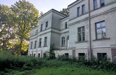 Herrenhaus/Gutshaus kaufen Goniembice, Dwór w Goniembicach, Großpolen:  Seitenansicht