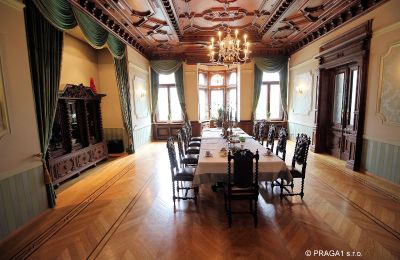 Historisk villa til salgs Ústecký kraj:  