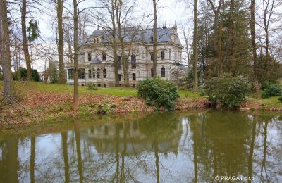 Historisk villa købe Ústecký kraj:  Have