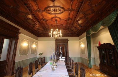 Historisk villa til salg Ústecký kraj, Billede 7/17