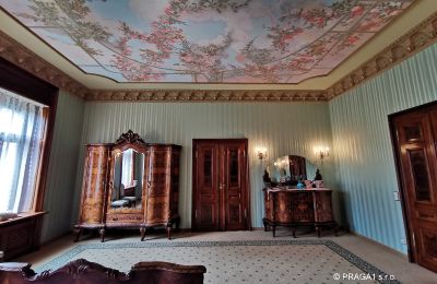 Historisk villa til salg Ústecký kraj, Billede 15/17