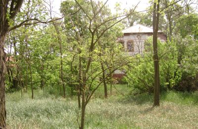 Landhaus kaufen Pleszew, Großpolen:  