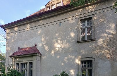 Herregård til salg Osieczna, województwo wielkopolskie, Detaljer